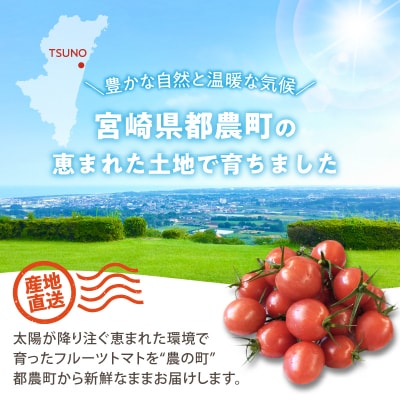 ≪先行予約≫オリジナルブランド「フルーツトマトゆき」計2kg_T047-0041