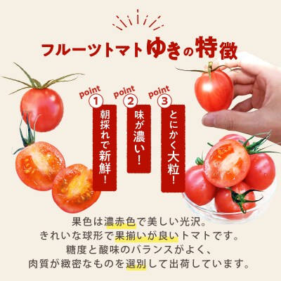 ≪先行予約≫オリジナルブランド「フルーツトマトゆき」計2kg_T047-0041
