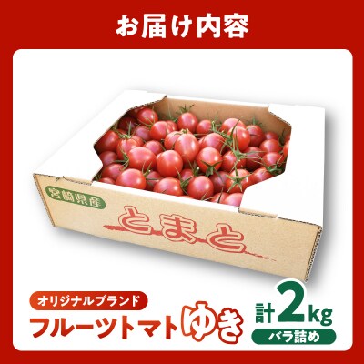 ≪先行予約≫オリジナルブランド「フルーツトマトゆき」計2kg_T047-0041