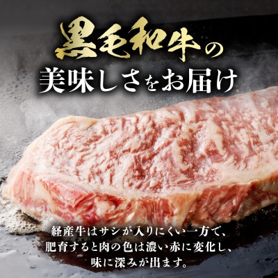 ≪訳あり≫宮崎県産黒毛和牛(経産牛)サーロインステーキ(計900g)_T025-012
