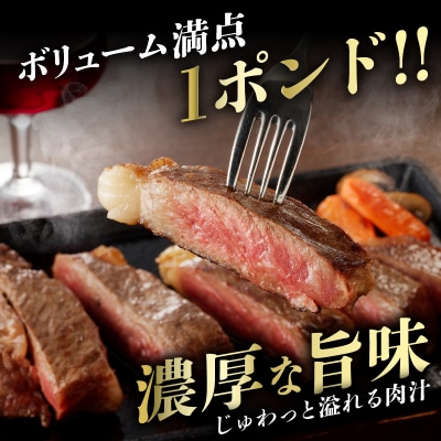 ≪訳あり≫宮崎県産黒毛和牛サーロインステーキ1ポンド(450g)_T025-0131