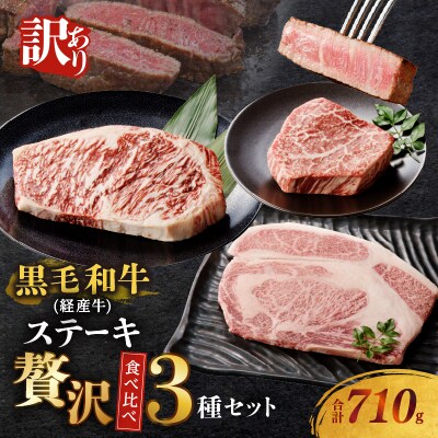 【2週間以内発送】≪訳あり≫黒毛和牛ステーキ贅沢3種食べ比べセット(合計710g)_T025-014