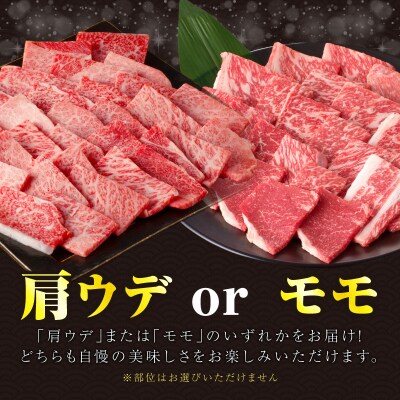 ≪肉質等級4等級以上≫黒毛和牛赤身焼肉(計500g) 肉 牛 牛肉 国産_T030-0921