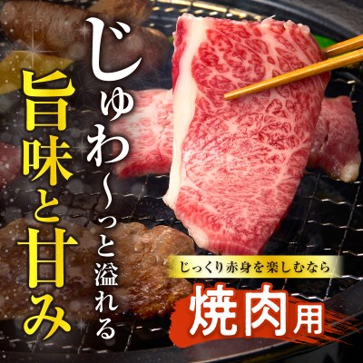 ≪肉質等級4等級以上≫黒毛和牛赤身焼肉(計500g) 肉 牛 牛肉 国産_T030-0921