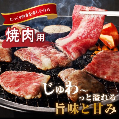 生産者応援≪肉質等級4等級以上≫宮崎県産黒毛和牛肩ロース(焼肉)計800g_T030-115