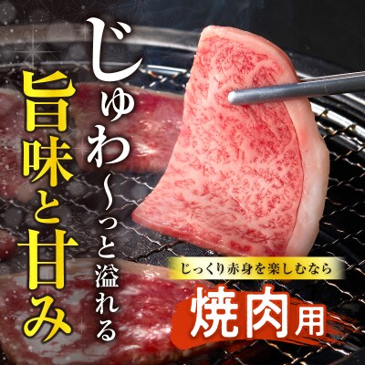 生産者応援≪4等級以上≫宮崎県産黒毛和牛霜降り肩ロース(焼肉)計1.2kg_T030-1943