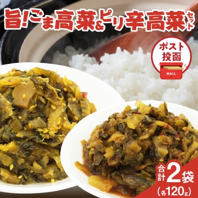＼ポスト投函/旨ごま高菜&ピリ辛高菜セット 計2袋(各120g) 漬物 おかず_T025-026