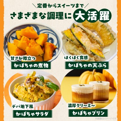 先行受付≪期間限定≫都農町産かぼちゃ「鈴マロン」計5kg カボチャ 野菜 旬_T015-007
