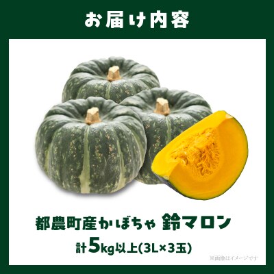 先行受付≪期間限定≫都農町産かぼちゃ「鈴マロン」計5kg カボチャ 野菜 旬_T015-007