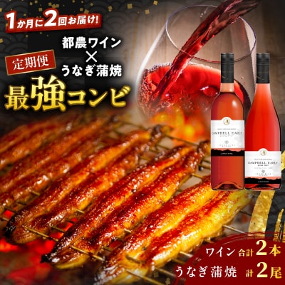 ≪定期便≫＼1か月に2回お届け!!/都農ワイン×うなぎ蒲焼★最強コンビ_T999-0031