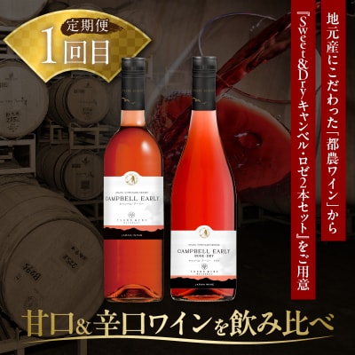 ≪定期便≫＼1か月に2回お届け!!/都農ワイン×うなぎ蒲焼★最強コンビ_T999-0031