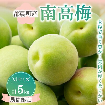 先行受付≪期間限定≫都農町産「南高梅(Mサイズ)」計5kg 梅 梅干し 果物 国産_T008-011 | ふるさと納税のお礼品