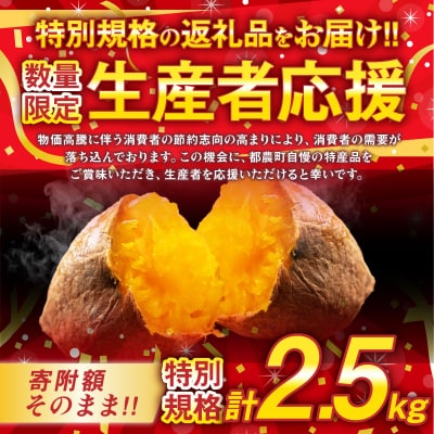 生産者応援【期間・数量限定】冷やし焼き芋(安納芋・紅はるか) 合計2.5kg_T016-005-ZO