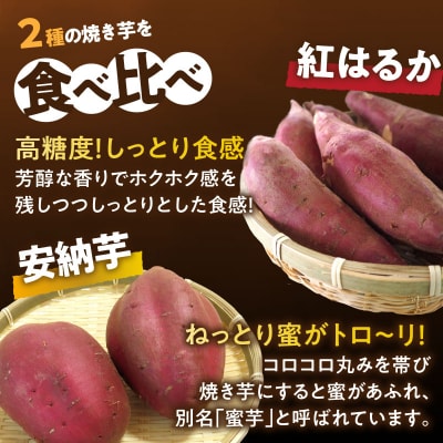冷やし焼き芋(安納芋・紅はるか) 合計2kg さつまいも イモ 野菜 国産_T016-005