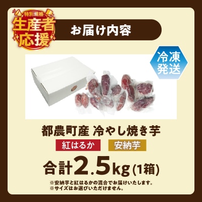 生産者応援【期間・数量限定】冷やし焼き芋(安納芋・紅はるか) 合計2.5kg_T016-005-ZO