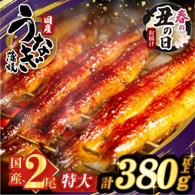 【春の丑の日までにお届け!!】うなぎ蒲焼特大2尾(計380g以上)_T026-0061-US1