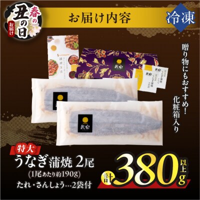【春の丑の日までにお届け!!】うなぎ蒲焼特大2尾(計380g以上)_T026-0061-US1