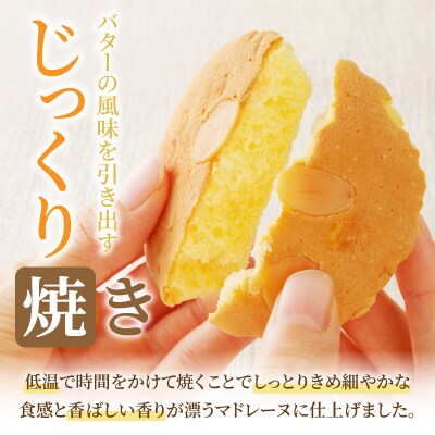【2週間以内発送】老舗菓子舗のマドレーヌ 「計3個・個包装」 焼き菓子 スイーツ_T035-010