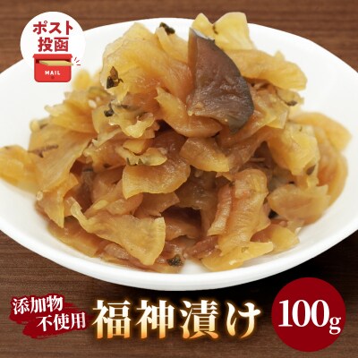 ＼ポスト投函/福神漬け100g おかず 漬物 野菜 加工品 国産_T037-011