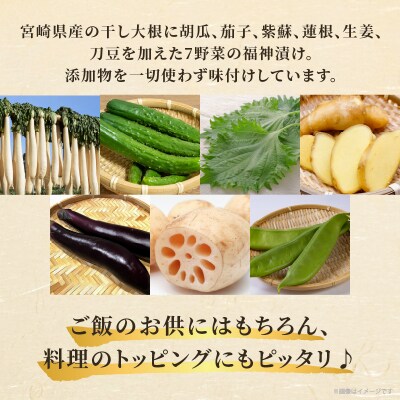 ＼ポスト投函/福神漬け100g おかず 漬物 野菜 加工品 国産_T037-011