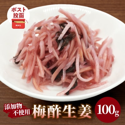 ＼ポスト投函/梅酢生姜100g おかず 漬物 野菜 加工品 国産_T037-0101