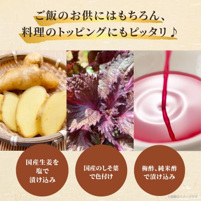 ＼ポスト投函/梅酢生姜100g おかず 漬物 野菜 加工品 国産_T037-010