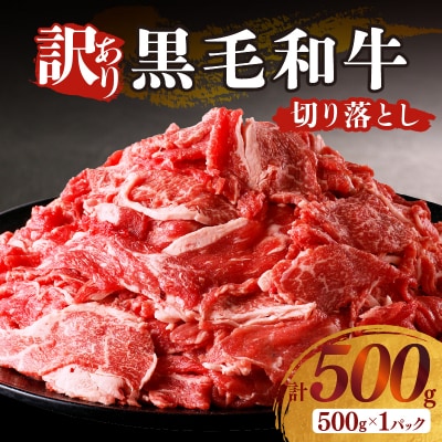 月数量限定≪訳あり≫黒毛和牛切り落とし(計500g)肉 牛 牛肉_T025-037