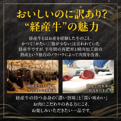月数量限定≪訳あり≫黒毛和牛切り落とし(計500g)肉 牛 牛肉_T025-037