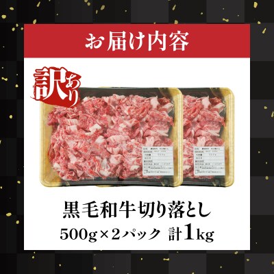 月数量限定≪訳あり≫黒毛和牛切り落とし計1kg(500g×2)_T025-038