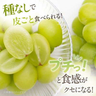 先行予約≪期間限定≫都農町産シャインマスカット(計1kg) ぶどう 果物 国産_T010-002