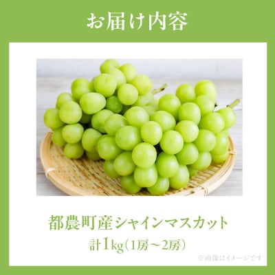 先行予約≪期間限定≫都農町産シャインマスカット(計1kg) ぶどう 果物 国産_T010-002