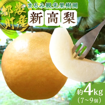 ≪期間限定≫まるみ観光果樹園の『新高梨』(約4kg) なし 果物 フルーツ_T036-002