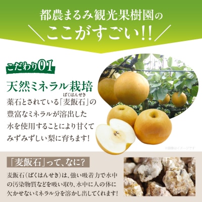 ≪期間限定≫まるみ観光果樹園の『新高梨』(約4kg) なし 果物 フルーツ_T036-002