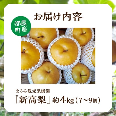 ≪期間限定≫まるみ観光果樹園の『新高梨』(約4kg) なし 果物 フルーツ_T036-002