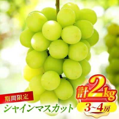 先行予約≪期間限定≫シャインマスカット(計2kg) ぶどう 果物 国産_T051-001