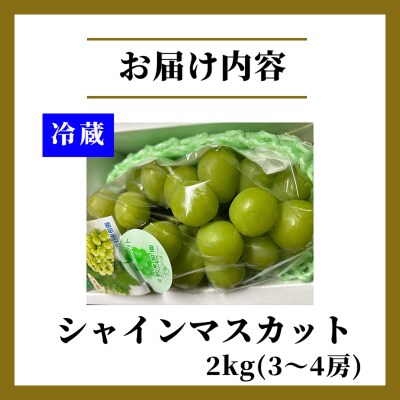 先行予約≪期間限定≫シャインマスカット(計2kg) ぶどう 果物 国産_T051-001