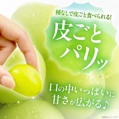 ≪期間限定≫シャインマスカット(計2kg) ぶどう 果物 国産_T051-001