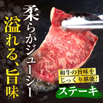 ≪肉質等級4等級以上≫宮崎県産黒毛和牛赤身モモステーキ(計500g) 牛 おかず_T030-171