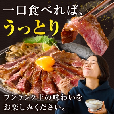 ≪肉質等級4等級以上≫宮崎県産黒毛和牛赤身モモステーキ(計500g) 牛 おかず_T030-171