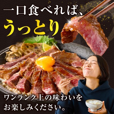 ≪肉質等級4等級以上≫宮崎県産黒毛和牛赤身モモステーキ(計500g) 牛 おかず_T030-1713