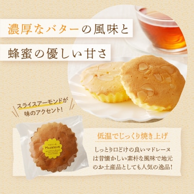 【2週間以内発送】老舗菓子舗のマドレーヌ 「計6個・個包装」_T035-016