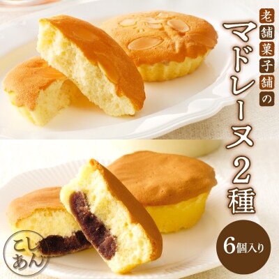 【2週間以内発送】老舗菓子舗のマドレーヌ2種セット「合計6個・個包装」_T035-020