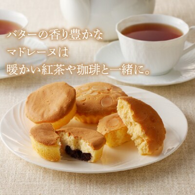 【2週間以内発送】老舗菓子舗のマドレーヌ2種セット「合計6個・個包装」_T035-020