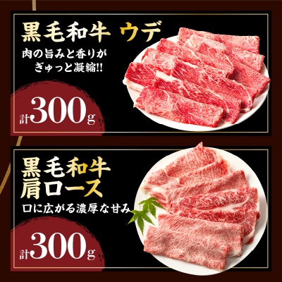 宮崎県産黒毛和牛・豚スライス&粗挽きウインナーセット(合計1.08kg)_T030-1743