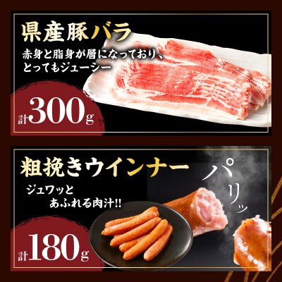 宮崎県産黒毛和牛・豚スライス&粗挽きウインナーセット(合計1.08kg)_T030-1743