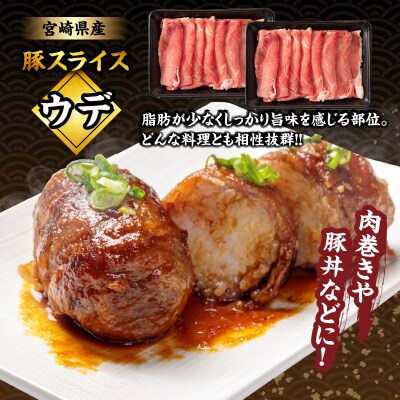 宮崎県産豚スライス(ウデ・モモ)&粗挽きウインナーセット合計2.43kg_T030-175