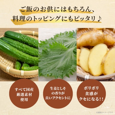 ＼ポスト投函/ひょうすんぼ漬け 計2袋 漬物 おかず 野菜 加工品 国産_T037-0121
