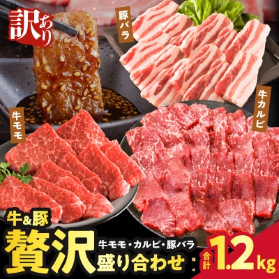 【2週間以内発送】≪訳あり≫牛&豚 贅沢盛り合わせ(合計1.2kg)_T025-045