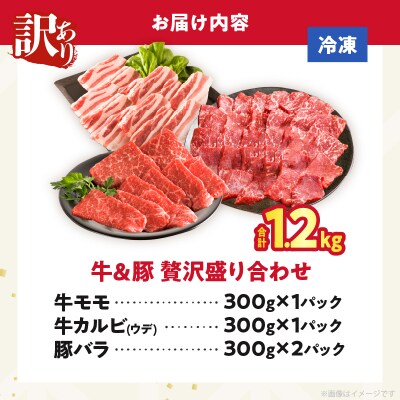 【2週間以内発送】≪訳あり≫牛&豚 贅沢盛り合わせ(合計1.2kg)_T025-045
