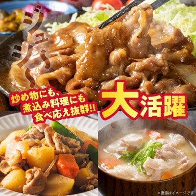 【2週間以内発送】宮崎県産豚もも切り落とし(計1.5kg)肉 豚 豚肉 国産_T025-044